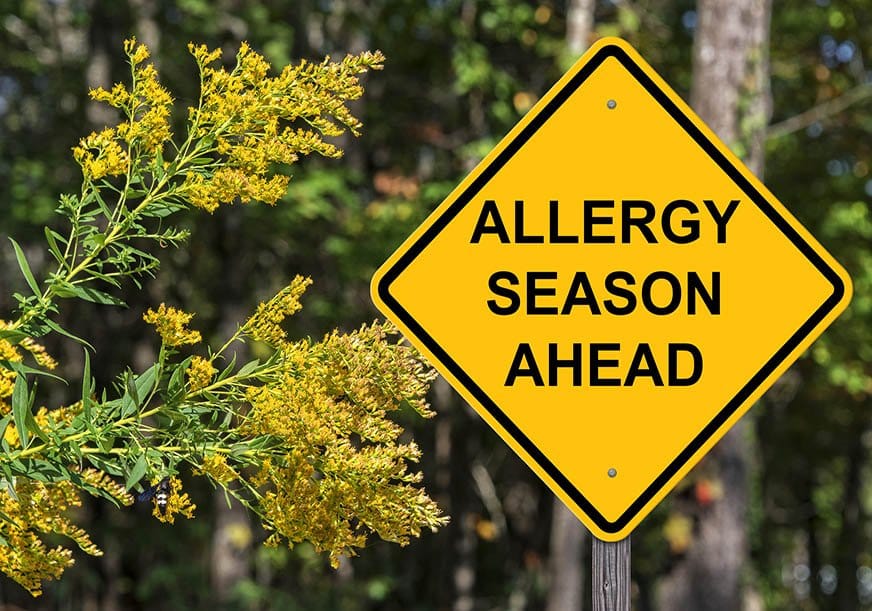 A sign reads: allergy season ahead