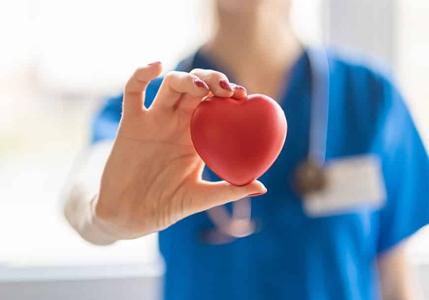A doctor holds a plastic heart up