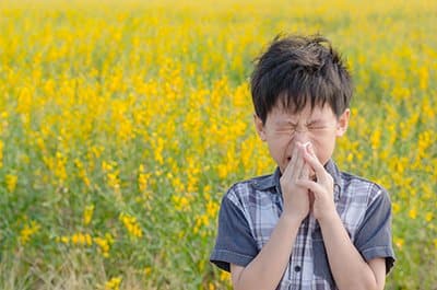 A boy in a field blows his nose